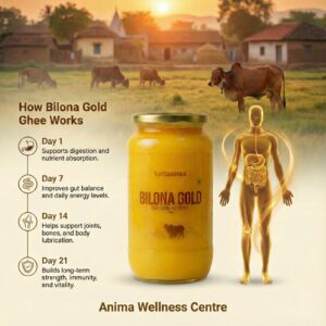 Bilona Gold Desi Gir Cow Ghee 0.5 kg