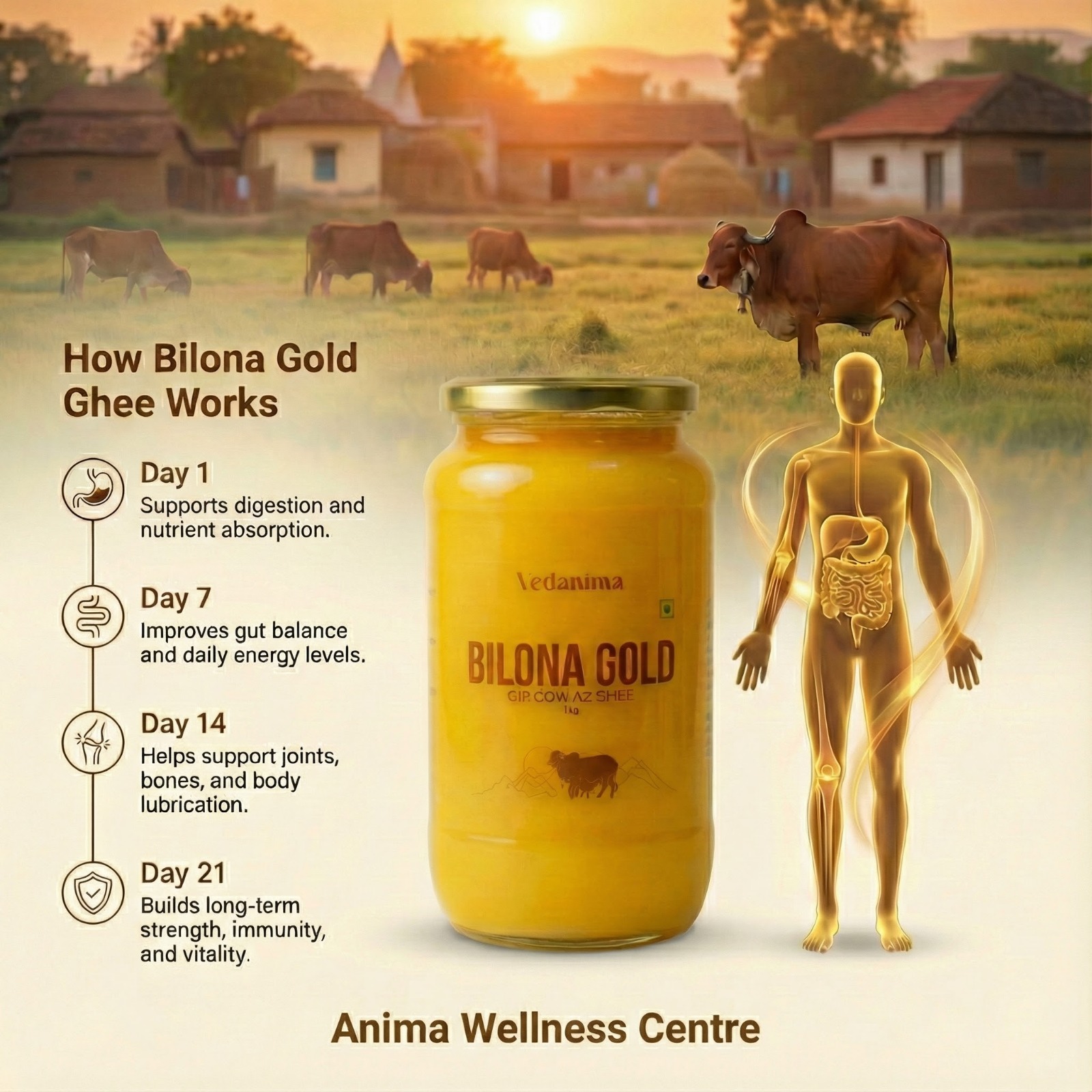 Bilona Gold Desi Gir Cow Ghee 1 kg