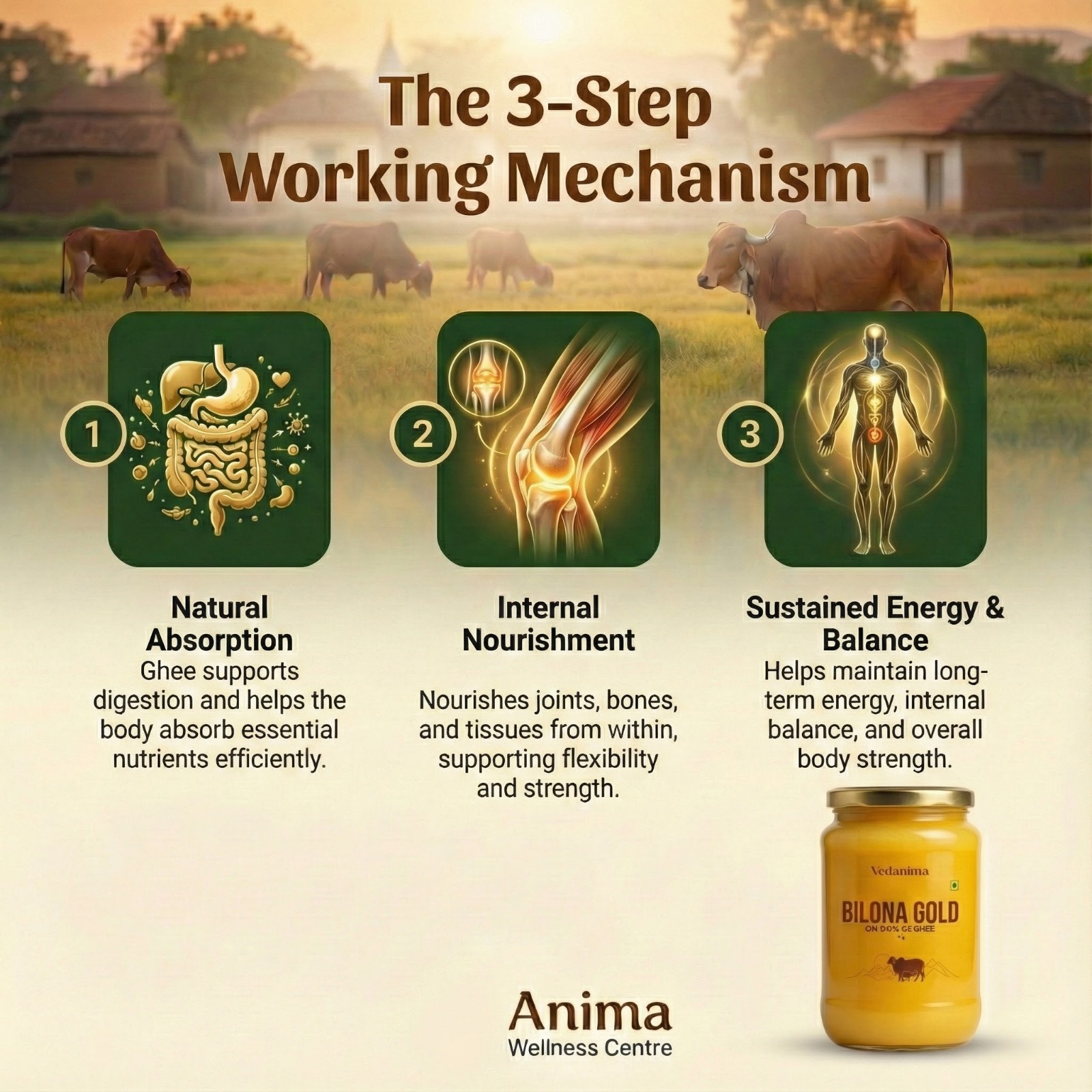 Bilona Gold Desi Gir Cow Ghee 1 kg