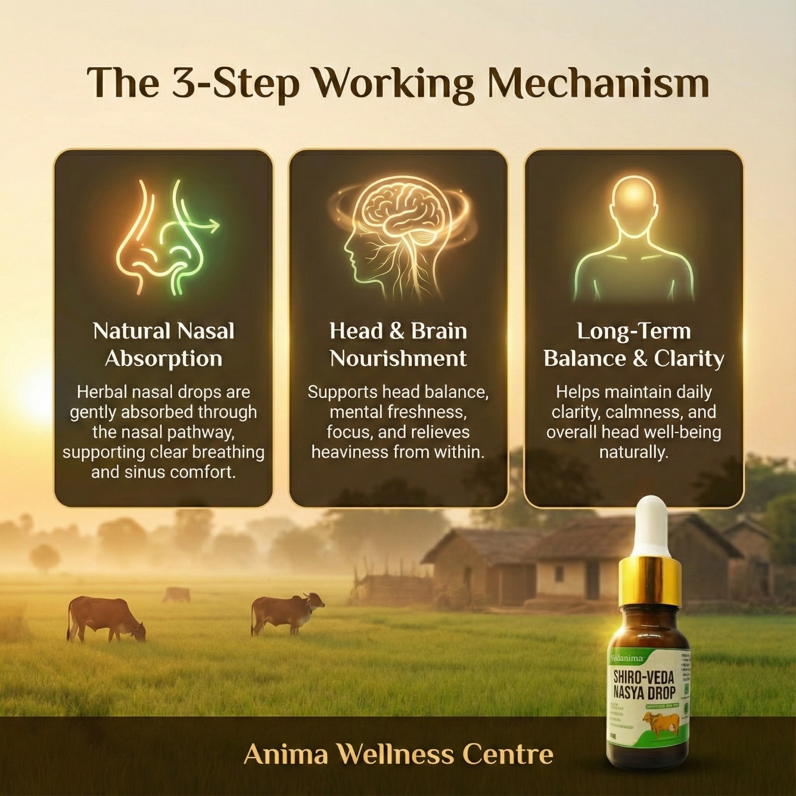 Shiro veda Nasya Drop