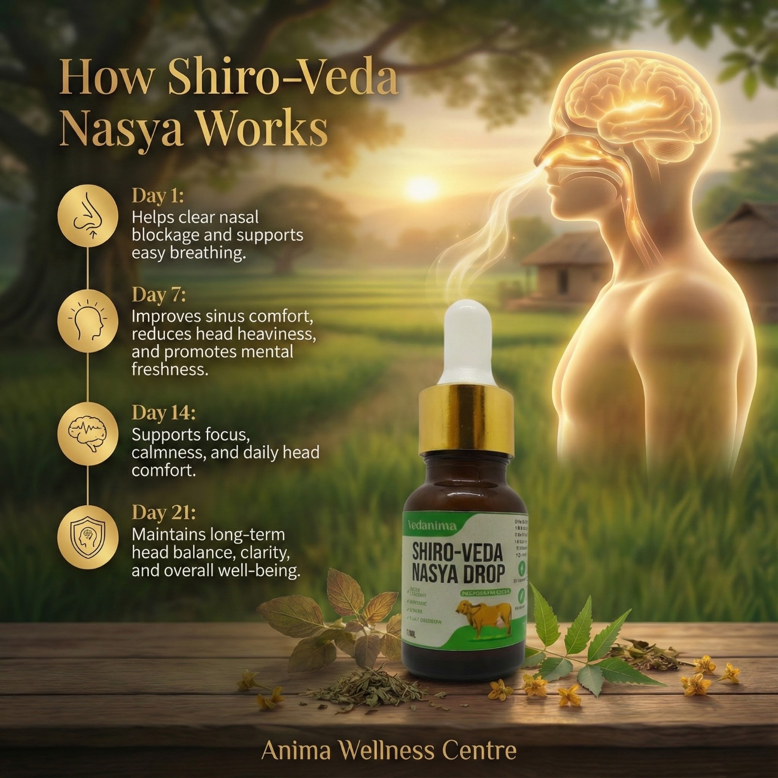 Shiro veda Nasya Drop